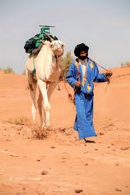 The only thing you should be worried about on your las vegas vacation is which place you want to see next. Authentic Desert Tours Camel Trekking Trips Desert Vibes