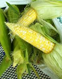 Corn Festival Time Love Fresh Corn On The Cob Delice Fin D Ete Beurre Et Fleur De Sel Mais En Epi De M Macdoff Yum Fresh Corn Corn On The Con Corn