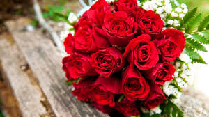 From a surprise valentine's day flower delivery to decadent treats, delicious valentine's chocolate delivery, and other romantic valentine's day surprises, there's something to make every special someone smile. How To Pick The Perfect Flowers For Valentine S Day Abc News