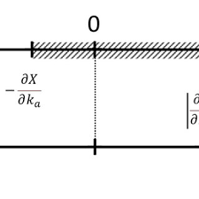 José CHAUI-BERLINCK