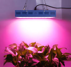 Easy and simple to use. 1800w Led Grow Light X6 Sunshine Full Spectrum Grow Light For Greenhouse And Indoor Plant Flowering Growing White Growing Lamps Indoor Gardening Hydroponics Fcteutonia05 De