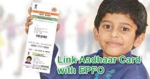 If You Want To Link Your Aadhar Card With Epfo Account Or Uan Go And Check This Tutorial A Quick Guide To Link Your Aadhar With Ep Cards Aadhar Card Pensions