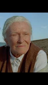 Here's a glimpse of the Summer Book film 👀 , If you haven't had a chance  to see it yet, this beautiful film will be screening as part of the 10th  edition of the London Breeze Film Festival this ...