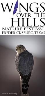 Birds Of Prey Texas Hill Country Wall Photos Country Festivals Texas Hill Country Festival