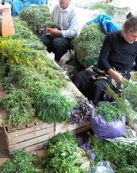 About Food Fruit And Vegetable Market In Tbilisi