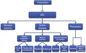Espen Practical Guideline Clinical Nutrition In Inflammatory Bowel Disease Clinical Nutrition