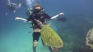 Image result for Scuba Diving Thailand