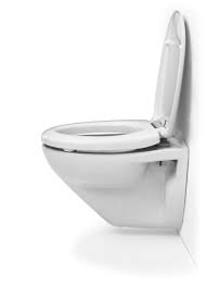 Geeignet für alle standard wandhängenden und bodenstehenden wcs mit. Unsere Careline Wc Sitze Fur Besondere Anspruche Hamberger Sanitary