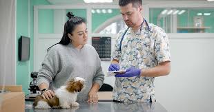 We did not find results for: Questions To Ask Your Veterinarian About Your Pet S Medication Zoetis Petcare