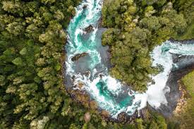 For the average series a round raising venture capital can consume upwards of 50% of your business in one fell swoop. Oxford University Gav Start Conservation Venture Capital Fund Chief Investment Officer