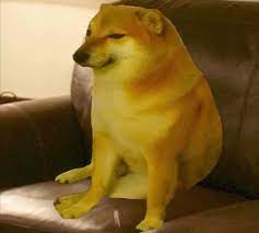3 ways to choose a shiba inu puppy wikihow. Yellow Doge Puppy Eyes Dog Behavior She Dog
