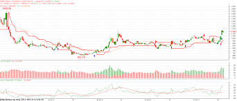 mentha oil global demand lifts mentha oil prices outlook