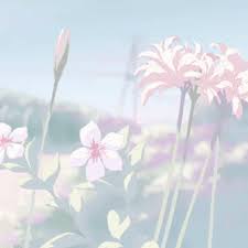 Check spelling or type a new query. Aesthetic Flower Gif Aesthetic Flower Nature Discover Share Gifs