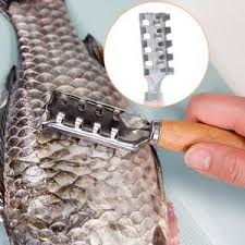 Fish Skin Peeler Scraping Fishing Scale Brush Kitchen Tools Fast Remove Fish Scaler Scraper Easy Fish Recipes How To Cook Fish Fish Monger