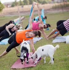 Maybe you would like to learn more about one of these? Mesa Az Travel Inspiration 18 Reasons To Visit Mesa In 2018 Visit Mesa