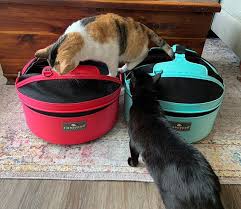 And surprise they both snuggled right into them. Doggie Goodie Home Facebook