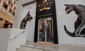 Ungroomed pets are at a risk for fleas, ticks, parasites, roundworms, lyme. Full Grooming Mesho Pet Grooming Salon Groupon