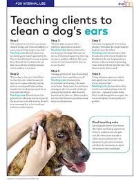 Cleaning Dog Ears Cleaning Dogs Ears Pet Health Care Dog Allergies