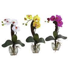 Nearly Natural Mini Phalaenopsis Orchid Arrangement Set Of 3 1311 S3 The Home Depot Orchid Flower Arrangements Orchid Arrangements Phalaenopsis Orchid