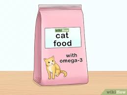 She can also be found on instagram, twitter. 3 Ways To Feed A Cat With Cancer Wikihow