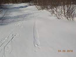 Maybe you would like to learn more about one of these? Photos The Weather Network