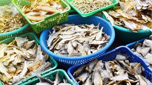 Selain bisa dipelihara di kolam outdoor, ikan koi juga bisa kamu pelihara di dalam akuarium. Bolehkan Ibu Hamil Makan Ikan Asin