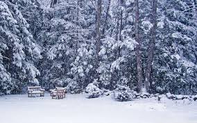 Snow Storm Wallpapers Top Free Snow Storm Backgrounds Wallpaperaccess Purple snow storm 4k motion background christmas winter snow storm background loop dark background of snow storm with car ligths in background with bokeh effect in 4k snow storm wallpapers top free snow