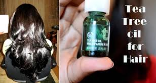 Is Tea Tree Oil Good For Hair