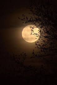 Super Moon In Hiding Con Imagenes Buenas Noches Luna Fotografia De La Luna Luna