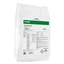 Image result for Setaria pseudaristata