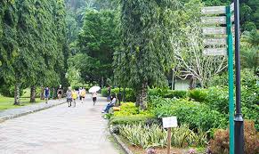 Pulau pinang adalah antara tempat peranginan yang popular dan menarik di malaysia tidak terkecuali tarikan semula jadi di penang yang masih ramai tidak tahu. Botanic Gardens Penang Attractions Wonderful Malaysia