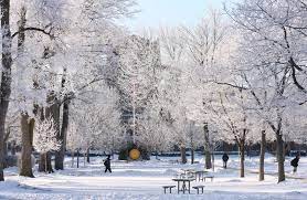 Great Winter Photo Of Cmu Central Michigan University Central Michigan Great Memories