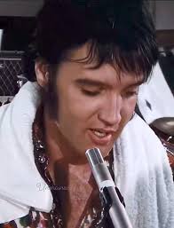 Elvis being a bit naughty 👿