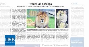 Nun ist der berühmte löwe kasanga im alter von 22 jahren verstorben. Trauer Um Kasanga Ovb Heimatzeitungen