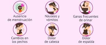El Embarazo Sintomas Cuidados Y Etapas Del Desarrollo Fetal
