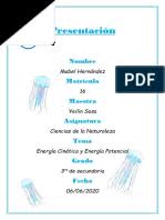 Vinagreta de Mango. Informe Final