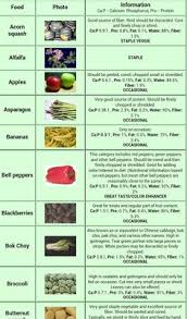 Maybe you would like to learn more about one of these? 15 Bearded Dragon Ideas Bearded Dragon Bearded Dragon Diet Bearded Dragon Care