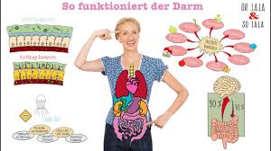 Gesunder Darm Microbiom Darmflora Aufbauen Schlechte Bakterien Aushungern Hilfe Bei Leaky Gut Youtube