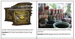Tanaman hias umumnya sengaja ditanam dengan tujuan memberikan kesan indah baik untuk dalam ruangan maupun untuk di luar ruangan. Proses Produksi Budidaya Tanaman Hias