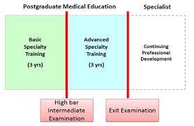 Graduate Medical Education In Singapore