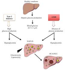 7690981229for any query tell me in comment section.for notes visit my fb page.facebook. Deregulation Of Endogenous Glucose Production Leads To Hepatic Download Scientific Diagram