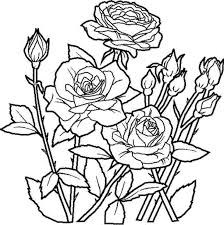 Rd.com relationships friendships every editorial product is independently selected, though we may be compensat. Print Download Some Common Variations Of The Flower Coloring Pages Rose Coloring Pages Unique Coloring Pages Butterfly Coloring Page