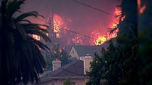 Image result for Radiant Fire 1991 Shadow