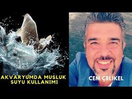 Akvaryum Suyu Degisimi Dip Cekimi Yok Dis Filtre Kurulumu Ile Suyu Berraklastirma Youtube