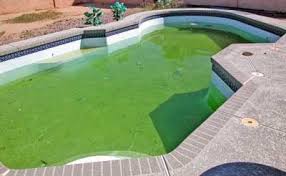 Eau De Piscine Translucide Mais Coloree Pourquoi Comment Reagir