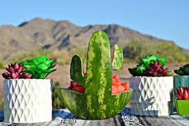 Watch the video explanation about how to easily cut a watermelon online, article, story, explanation, suggestion, youtube. Saguaro Cactus Watermelon Bowl Brie Brie Blooms