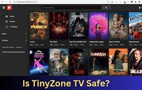 Is TinyZone TV Safe?