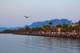 Puerto san carlos cuenta con 1700 mts3 de capacidad en Loreto Sehenswurdigkeiten Mexiko Reisen Informationsportal