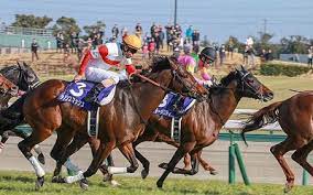 まず、google クラウド プリントを使用できるようにプリンタを設定します。 1x1 の広告申込情報のターゲットに、ステップ 1 で作成した広告ユニットを設定します。 å‡½é¤¨ã‚¹ãƒ—ãƒªãƒ³ãƒˆã‚¹ãƒ†ãƒ¼ã‚¯ã‚¹2019äºˆæƒ³ è¿½ã„åˆ‡ã‚Š èª¿æ•™ã‹ã‚‰è¦‹ã‚‹å¥½èµ°å‚¾å' è¿½ã„åˆ‡ã‚Š èª¿æ•™ é‡è¦–ã®ç«¶é¦¬äºˆæƒ³ãƒ–ãƒ­ã‚°