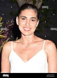 Vincent Dewitt's Instagram, Twitter & Facebook